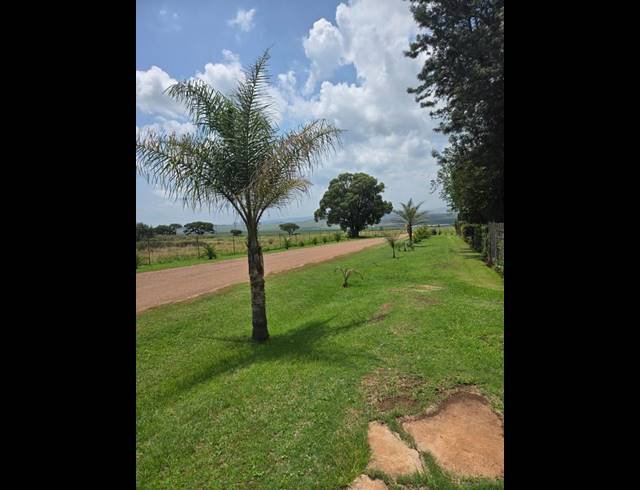 FARM FOR SALE IN STOFFBERG